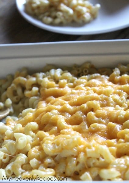 macaroni and cheese casserole macaroni and cheese casserole