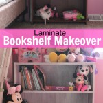 Bookcase Makeover