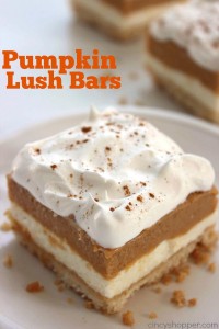 Pumpkin-Lush-Bars-1