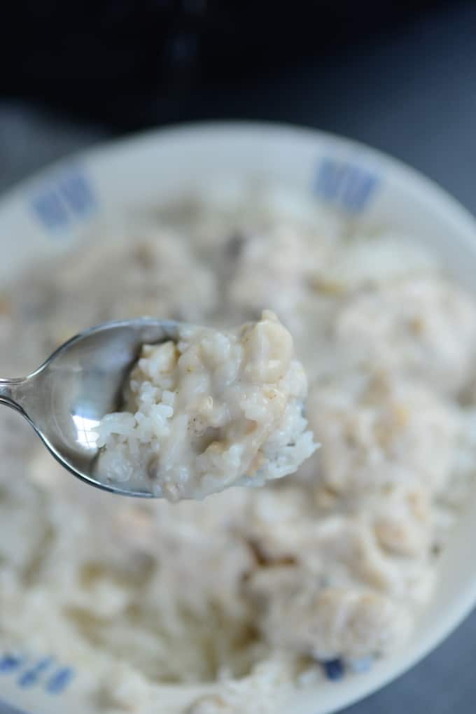 spoonful of crockpot chicken and rice