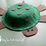 Baby Sea Turtle Kids Craft