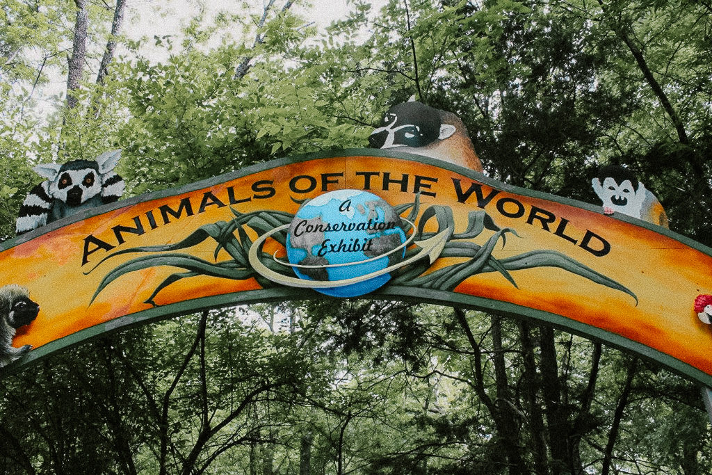 The Animals of the World Exhibit needs to be on your places to visit in Frisco, Texas with children!