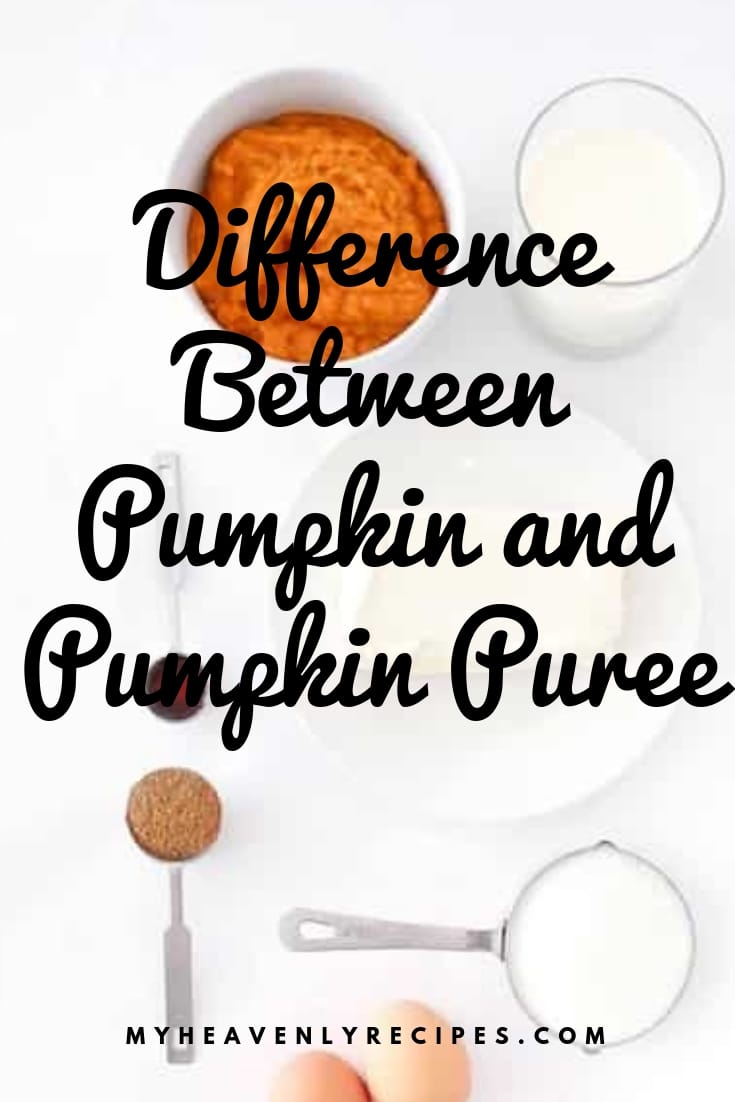 Difference Between Pumpkin and Pumpkin Puree