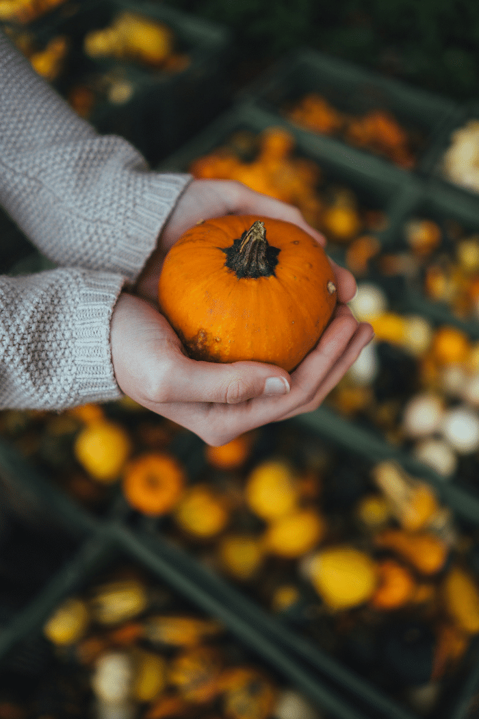 How to Make Pumpkin Puree