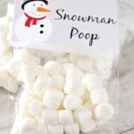 Fun for Kids: Snowman Poop with Printable