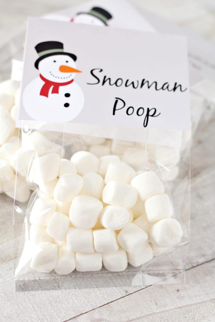 vertical image of snowman poop completed