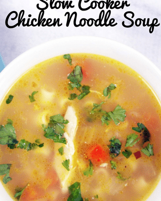 slow cooker chicken noodle soup with text