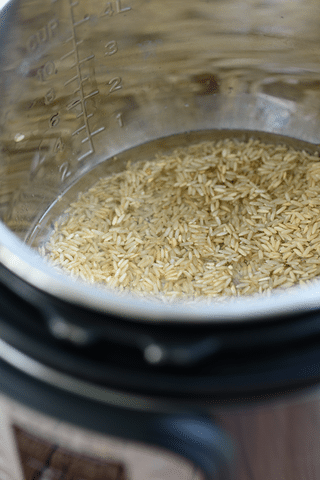 brown rice and water in instant pot