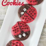 ladybug cookies on white tray with text