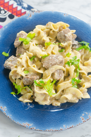 easy instant pot beef stroganoff recipe overhead close up shot