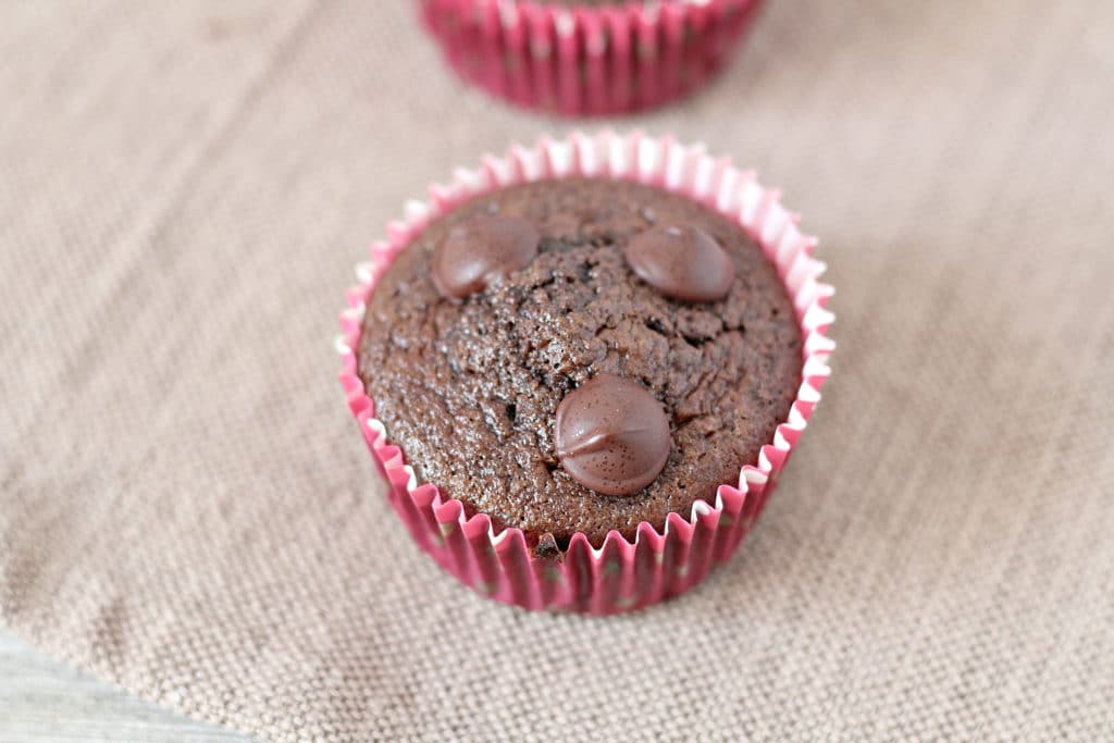 Double chocolate chip low carb Muffins 
