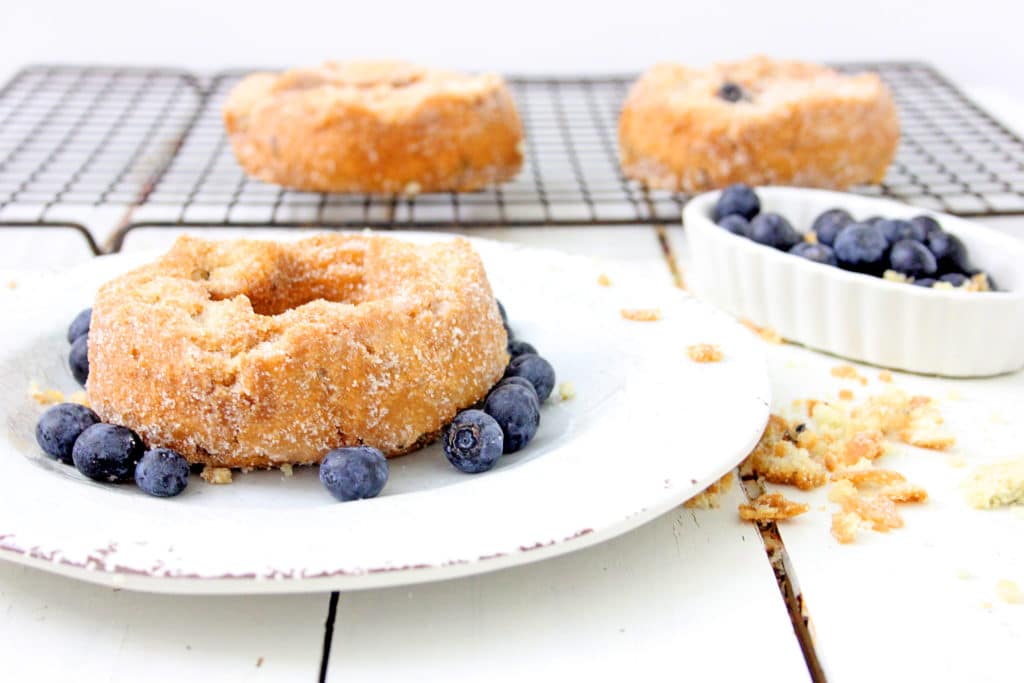 baked donuts with blueberries