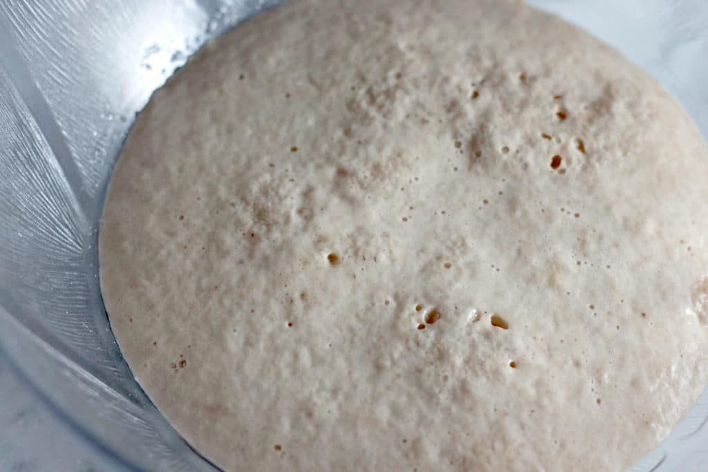 the beginning of bread dough