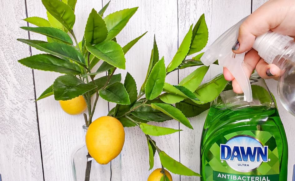 12 Surprising Uses for Dawn Dish Soap