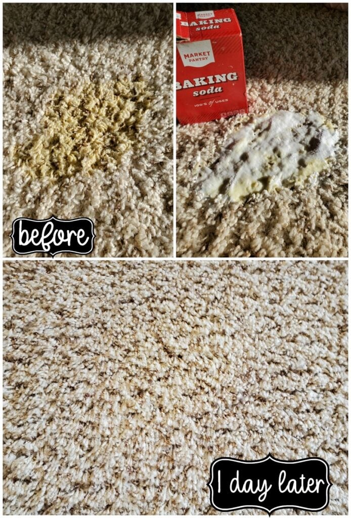 How to Remove Old and New Carpet Pet Stains My Heavenly Recipes