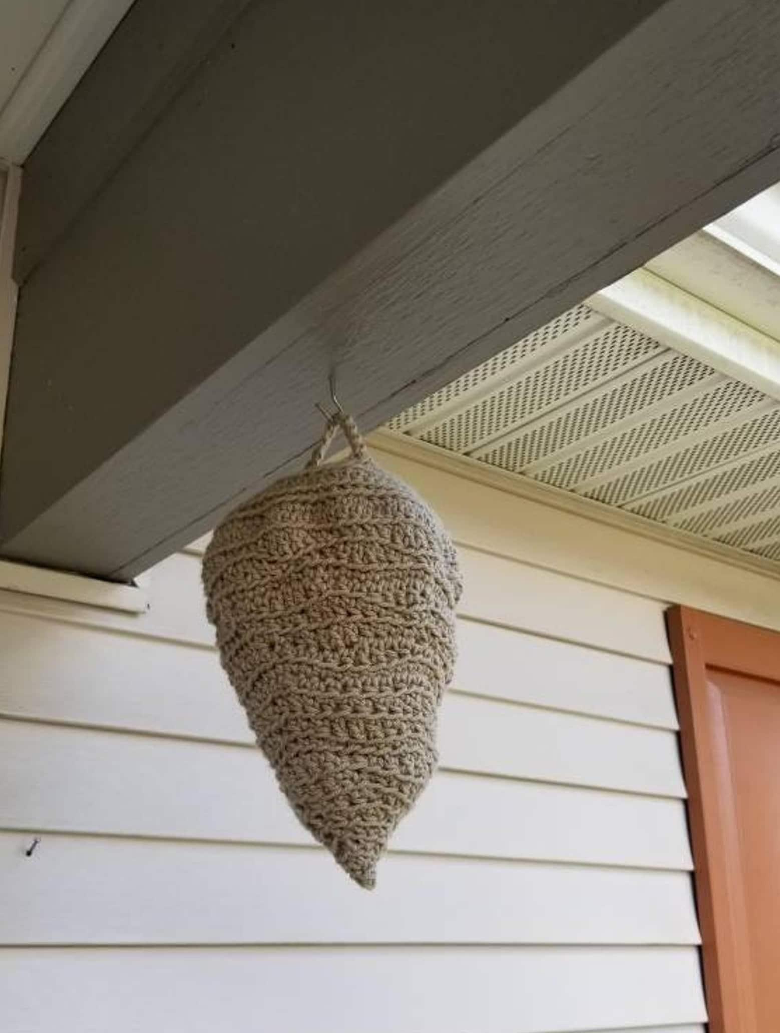 Tried & True Ways to Get Rid of Wasps