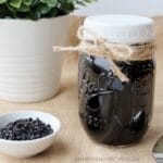 Homemade Elderberry Syrup Recipe (Crockpot)