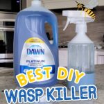 Homemade Wasp Killer