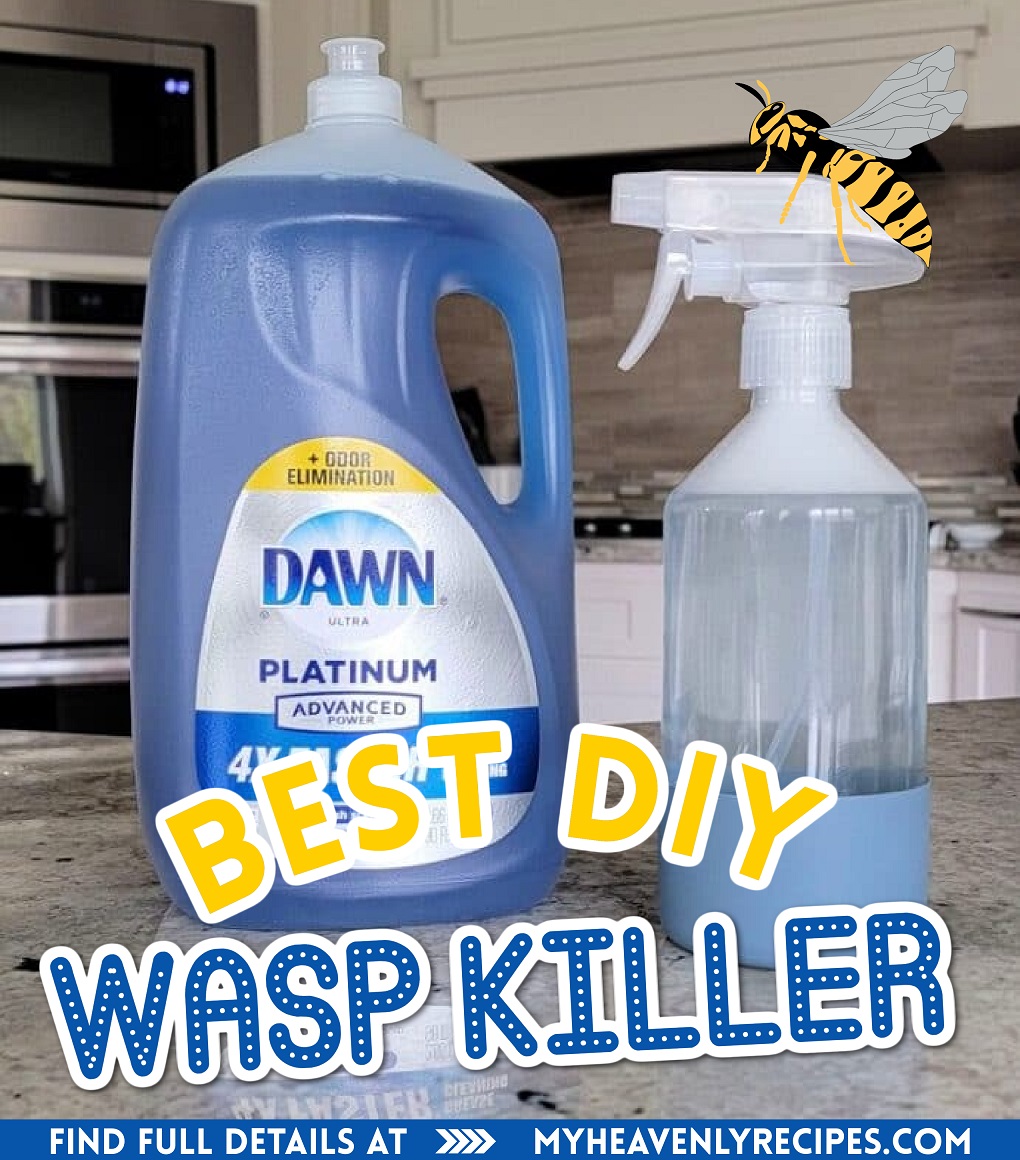 Homemade Wasp Killer