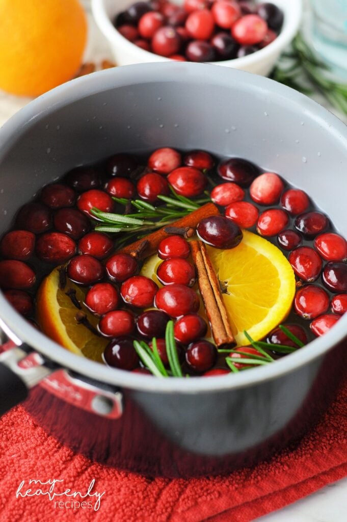 Christmas Simmer Pot - Reluctant Entertainer