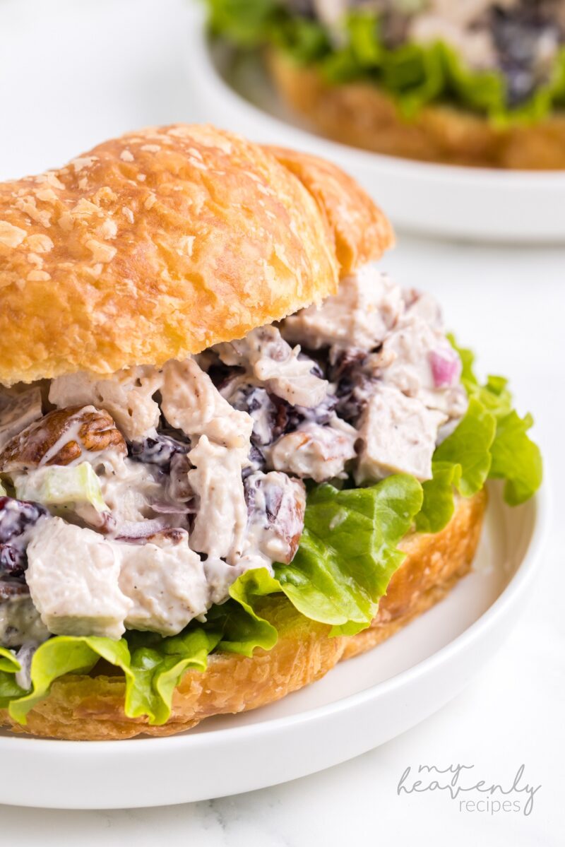 Cranberry Pecan Chicken Salad Recipe - My Heavenly Recipes