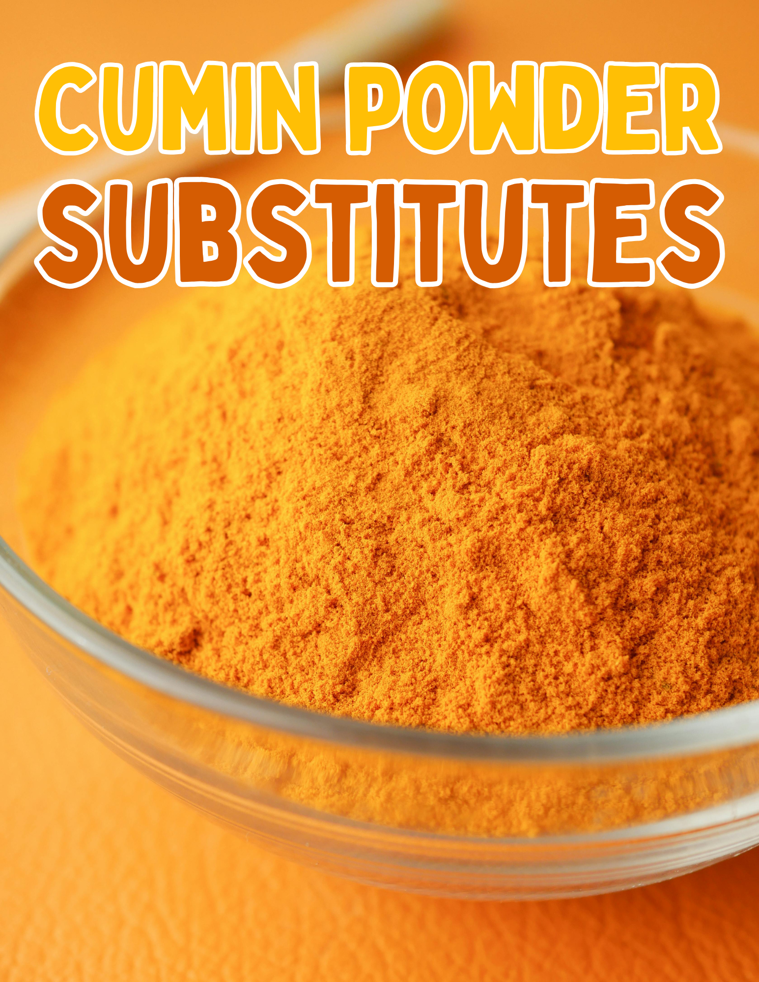 Substitutes For Cumin Powder